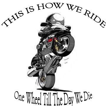 gsxr 600 wheelie