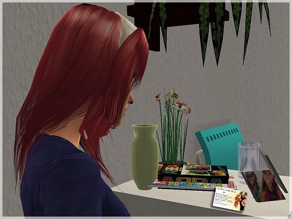 snapshot_33d5c378_33db62e6.jpg