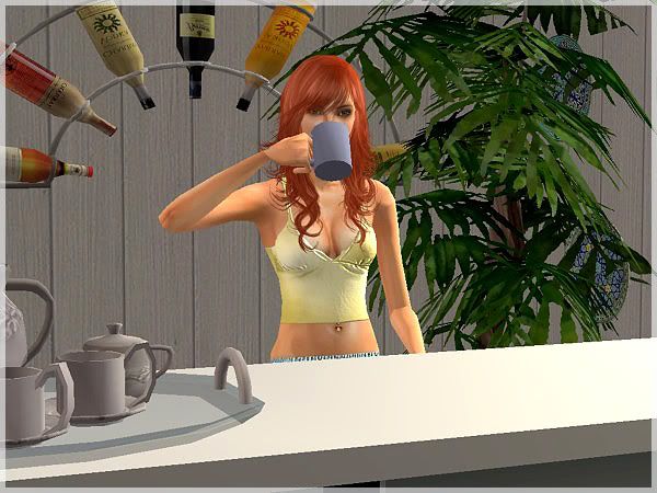 snapshot_33d5c378_73fb0204.jpg