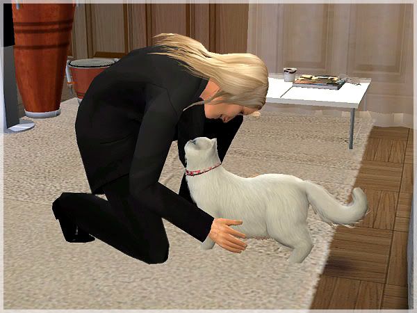 snapshot_33d5c378_7419578c.jpg