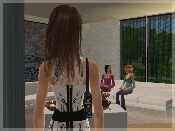 snapshot_72bcf894_12bd03ac.jpg