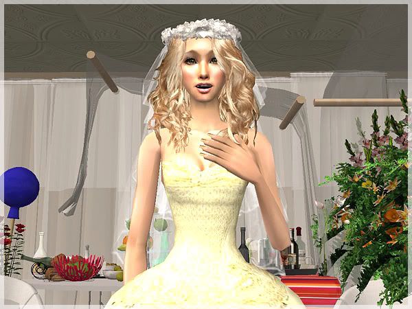snapshot_b4c21900_b4c21901.jpg