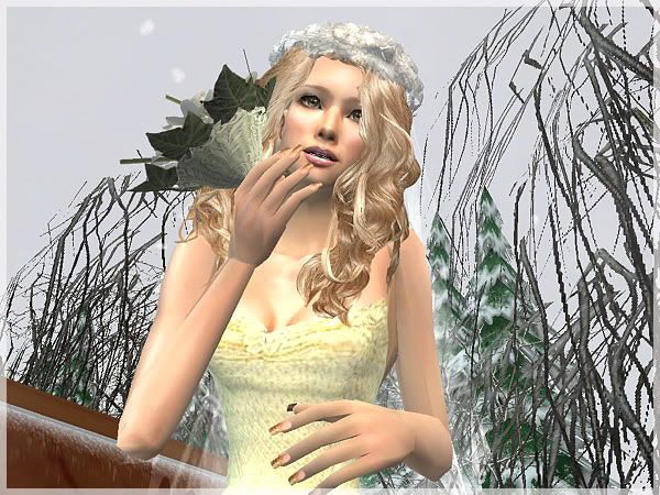 snapshot_b4c21900_d4c23115.jpg