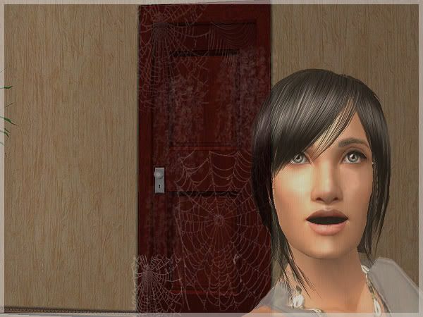 snapshot_14c88c6d_34c9b607.jpg