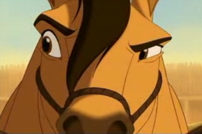 horsecraziest Avatar