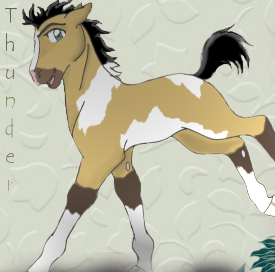 thunder spirit cimarron stallion gmt feb edit 2008 last
