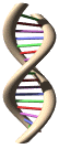 Double Helix Pictures, Images and Photos