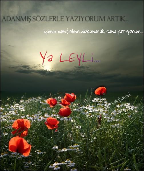 yaleyli_vaktivisal.jpg