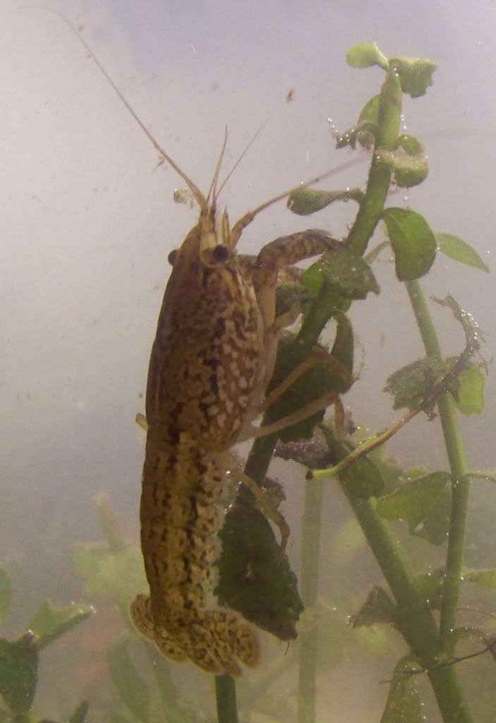 100_8687.jpg