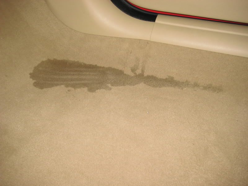 Water passenger side floor bmw #2