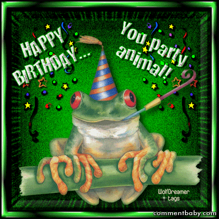 Happy Birthday Party Animal. Happy Birthday you party