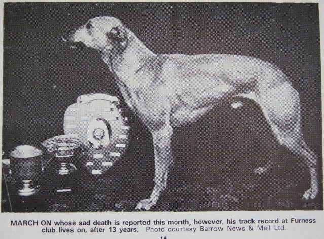 http://i116.photobucket.com/albums/o15/WHIPPETEER/WHIPPET1960S.jpg