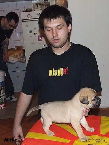 Качена снимка