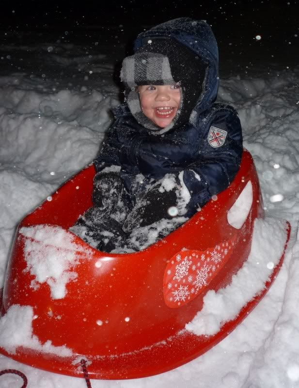 P1050461.jpg Mack Discovering Snow picture by OhmyDLM