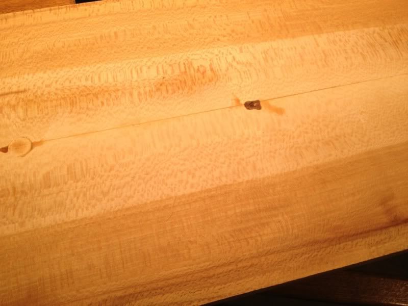 1204B45C-B7F5-4D30-9A24-346DC95C58EC-8761-000008A9EAA0B2B0_zpsa8cdec73.jpg