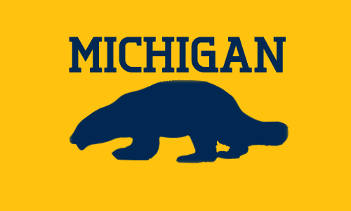 MichiganLogoConcept.png