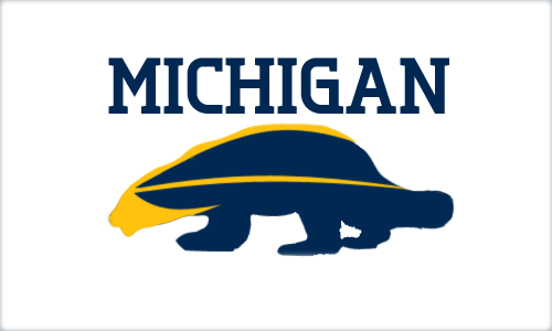 MichiganLogoConcept2.png