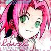 Chibi Sakura