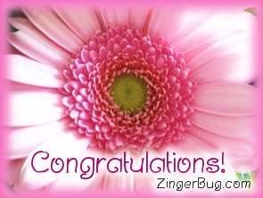 congratulations_pink_flower.jpg picture by kittikat22