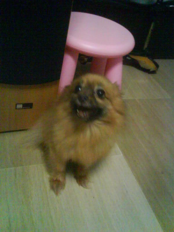 Photo Sharing and Video Hosting at Photobucket