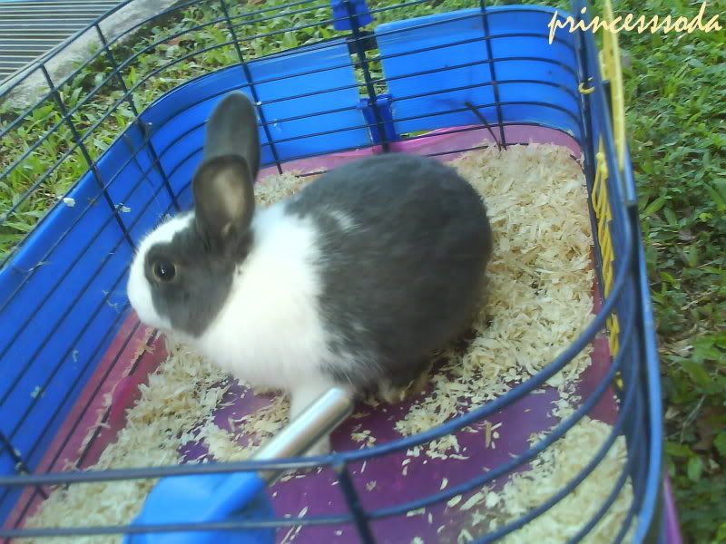Photo Sharing and Video Hosting at Photobucket