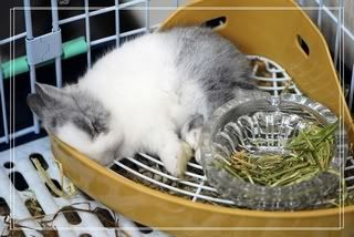 圖檔