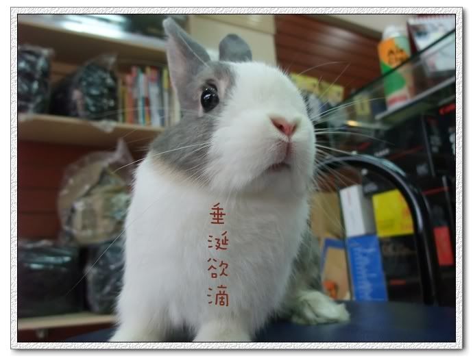 圖檔