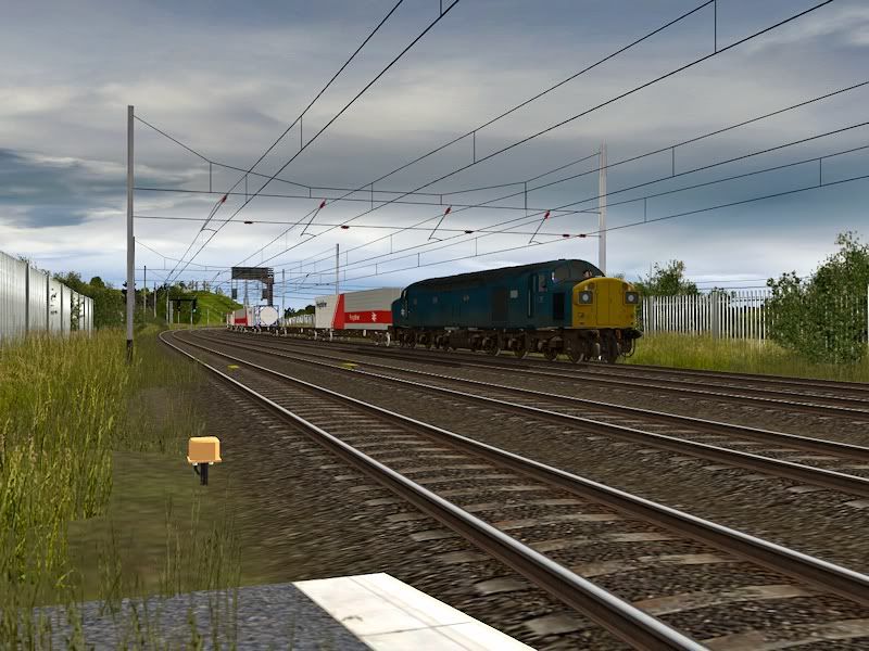 40137.jpg