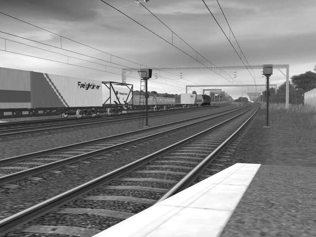 45029.jpg