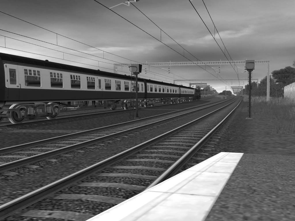 81014.jpg