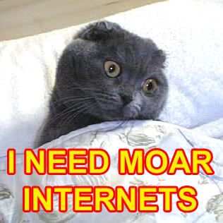 Cat_Moar_Internets.jpg
