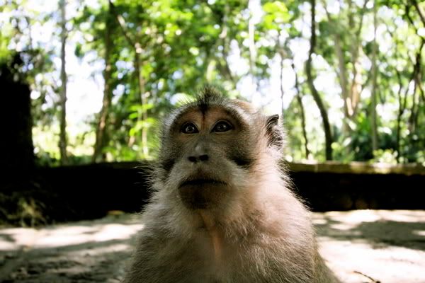 IMAGE: http://i116.photobucket.com/albums/o25/mikeassk/brighteyes18-33-43.jpg