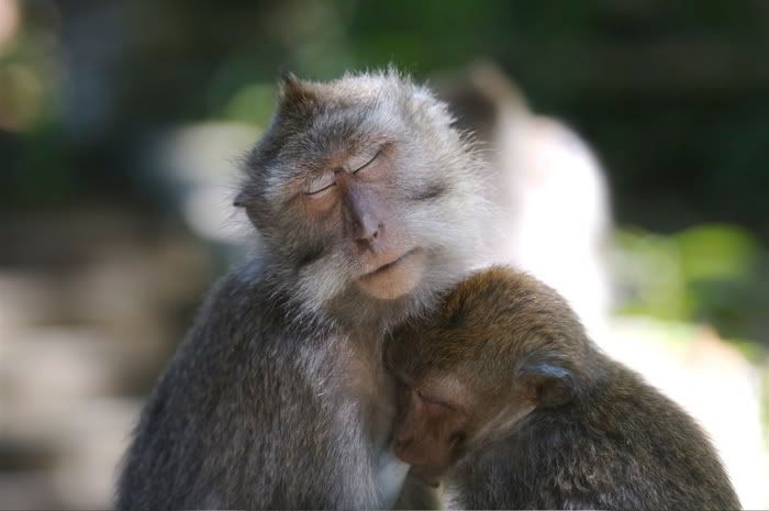 IMAGE: http://i116.photobucket.com/albums/o25/mikeassk/nipples218-33-43-1.jpg