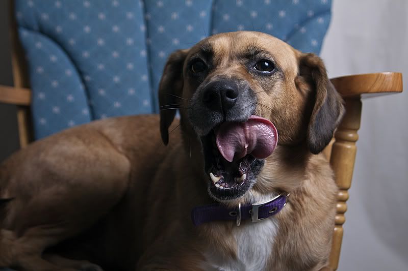 IMAGE: http://i116.photobucket.com/albums/o30/bdavis27701/IMG_0852.jpg