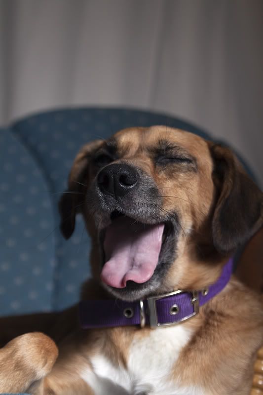 IMAGE: http://i116.photobucket.com/albums/o30/bdavis27701/IMG_0883.jpg