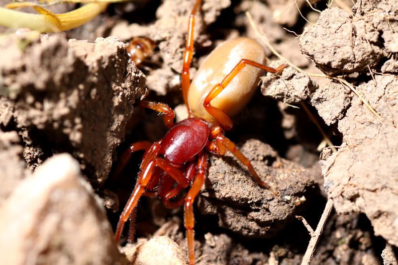 IMAGE: http://i116.photobucket.com/albums/o30/bdavis27701/IMG_8367.jpg