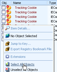 Selecting the spyware objects that are going to be removed from the system.
