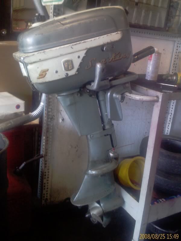 IMAG0256.jpg