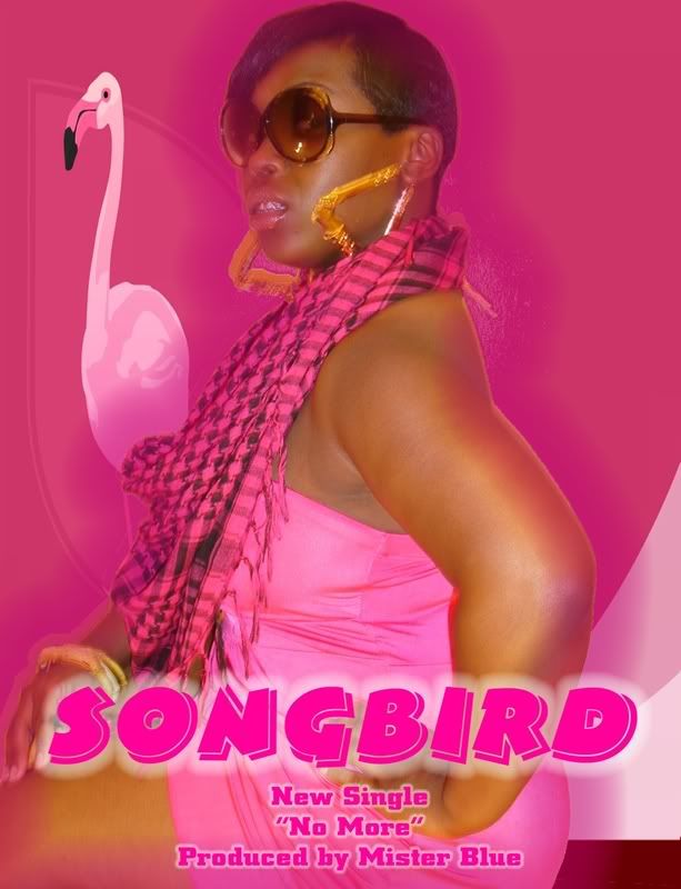 SONGBIRD'S NEW SINGLE