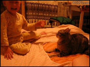 Demon-Baby-Gets-Owned-By-Awesome-Cat.gif