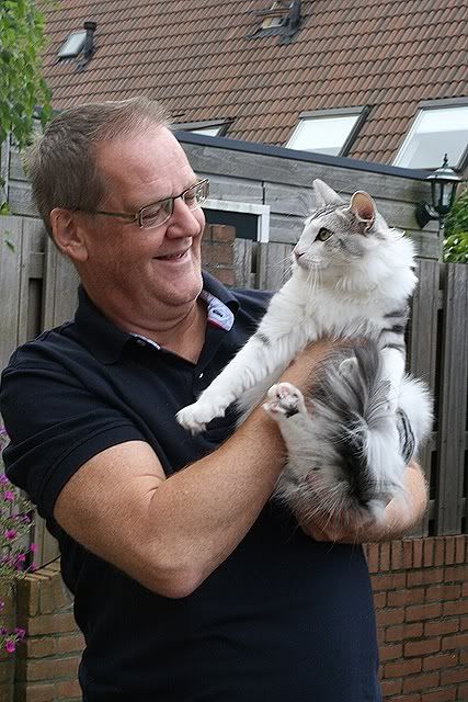 Geplaatste afbeelding