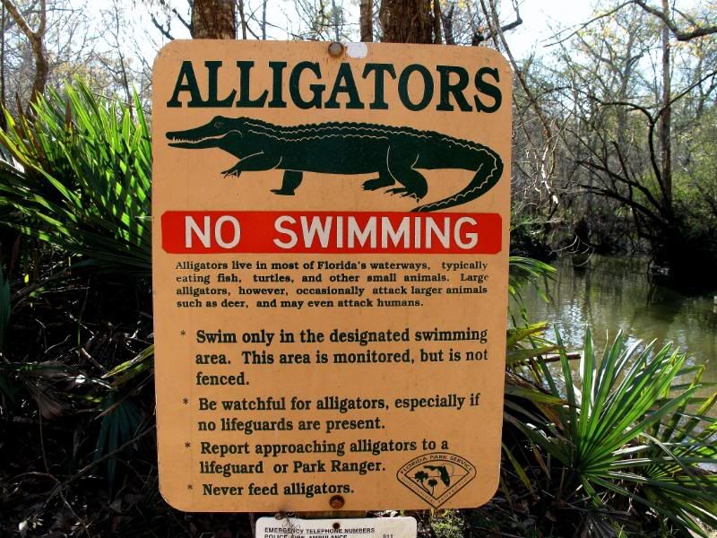 AlligatorSign.jpg