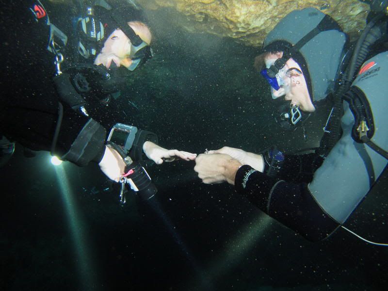 proposal5.jpg