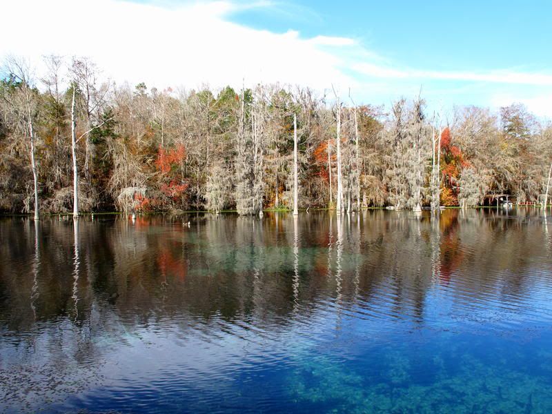 ClearMillPond.jpg