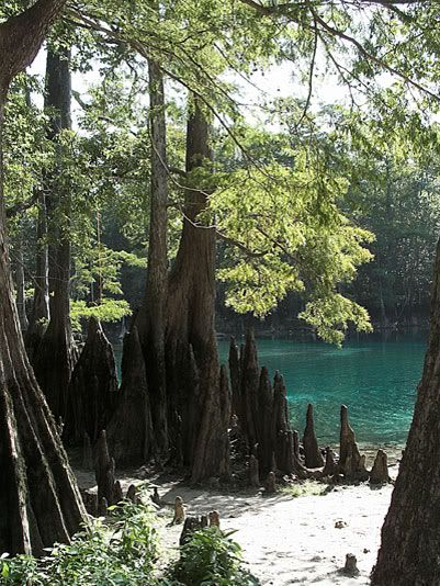 beautifulmorrionssprings.jpg