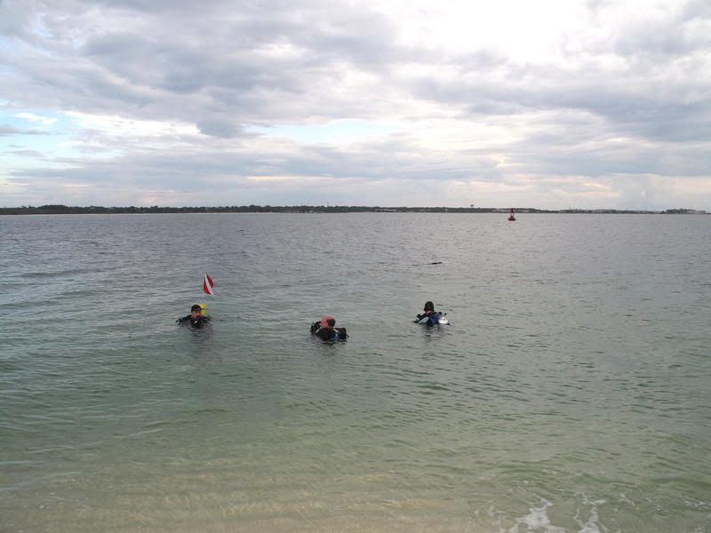 beginningofdive-1.jpg