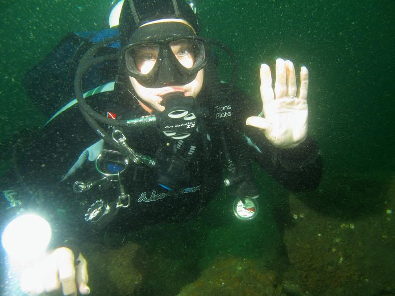 denisewaving.jpg