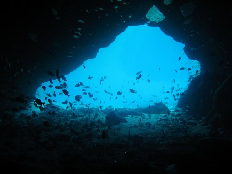 jbfishentrance.jpg