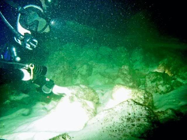 jettydiver.jpg