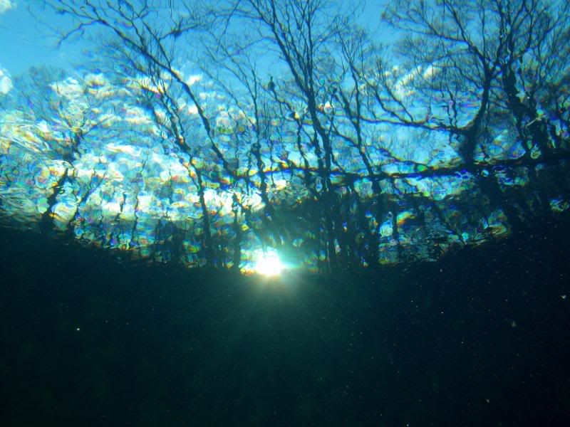 sunsetting-1.jpg